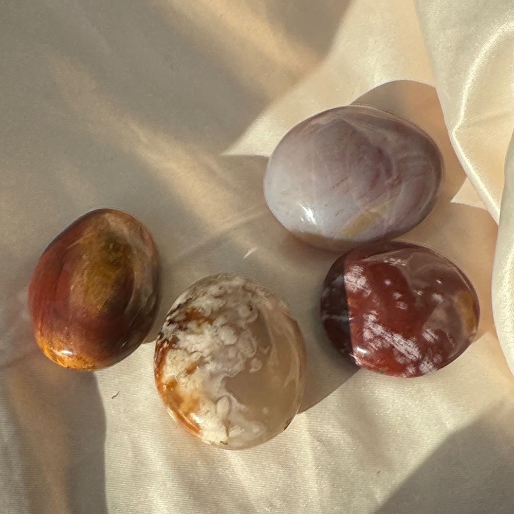 Set of 4 Polished Palms ✨🌊🌸